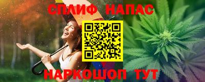эйфоретик Кингисепп