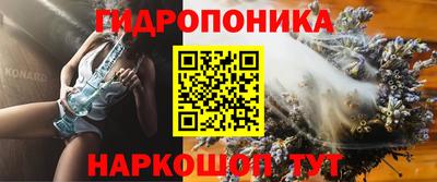эйфоретик Кингисепп