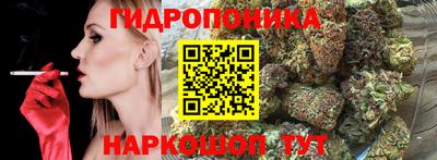 эйфоретик Кингисепп